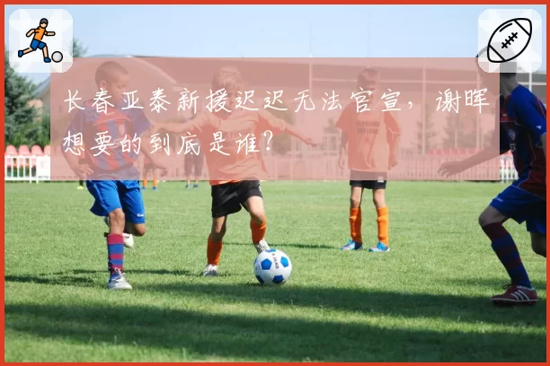 长春亚泰新援迟迟无法官宣,谢晖想要的到底是谁?