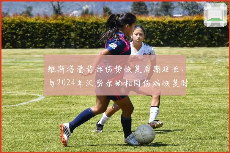 维斯塔潘背部伤势恢复周期延长，与2024年汉密尔顿相同伤病恢复时间对比