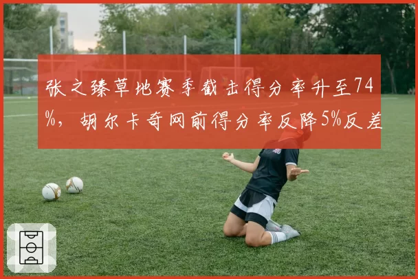 张之臻草地赛季截击得分率升至74%，胡尔卡奇网前得分率反降5%反差明显