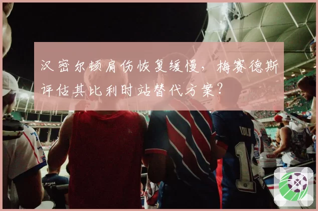 汉密尔顿肩伤恢复缓慢，梅赛德斯评估其比利时站替代方案？