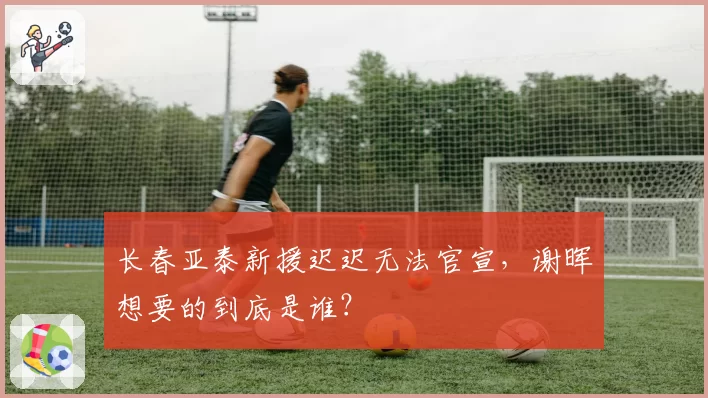 长春亚泰新援迟迟无法官宣,谢晖想要的到底是谁?